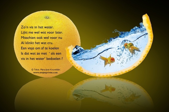 Verrassend Gedicht: Als een vis in het water – EmJeePrivee GE-77