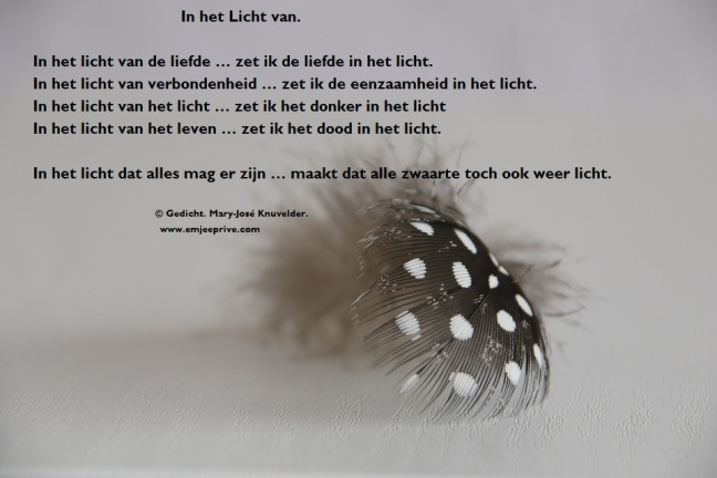Ongekend Gedicht: In het licht van – EmJeePrivee NL-12