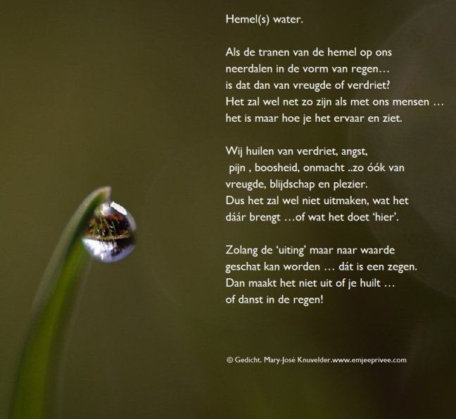 Beste Gedicht. Hemel(s) water – EmJeePrivee ZG-64